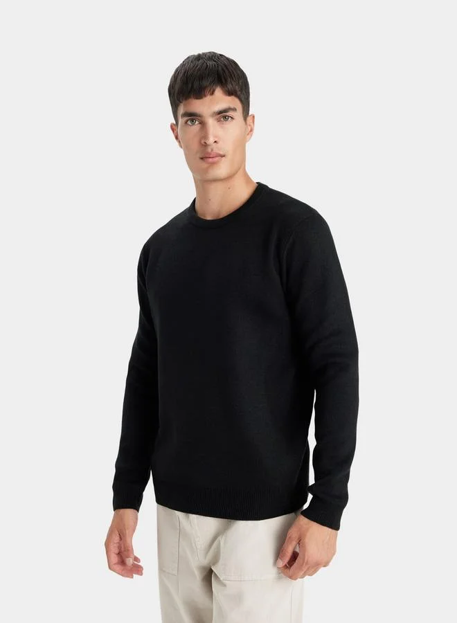 DeFacto DeFacto Regular Fit Round Neck Knit Sweater