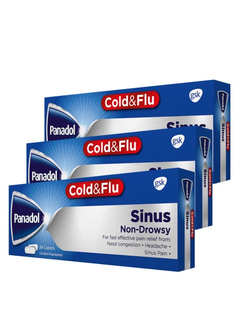 Senus Pack Of Three 24 Tablets