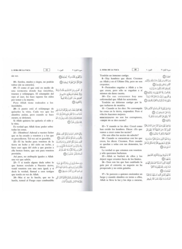 REBENUO - Interpretation of the meanings of the Holy Qur’an in Spanish with a translation in Arabic measuring 17*24 - Image 1