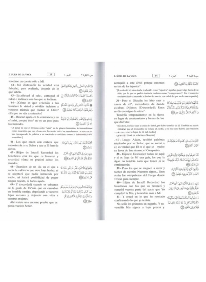 REBENUO - Interpretation of the meanings of the Holy Qur’an in Spanish with a translation in Arabic measuring 17*24 - Image 1