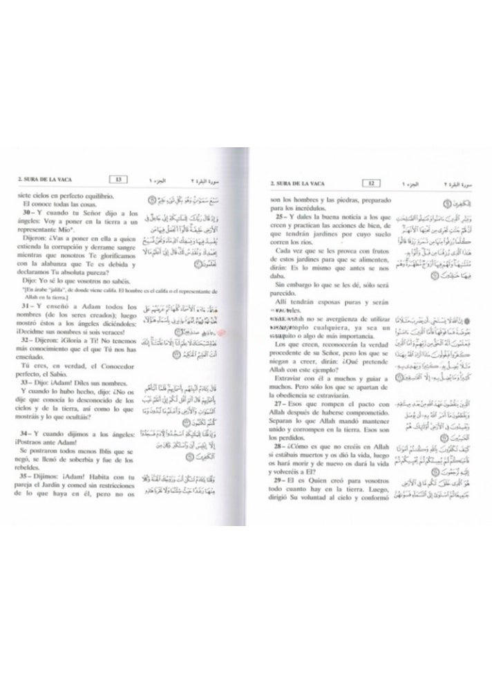REBENUO - Interpretation of the meanings of the Holy Qur’an in Spanish with a translation in Arabic measuring 17*24 - Image 1