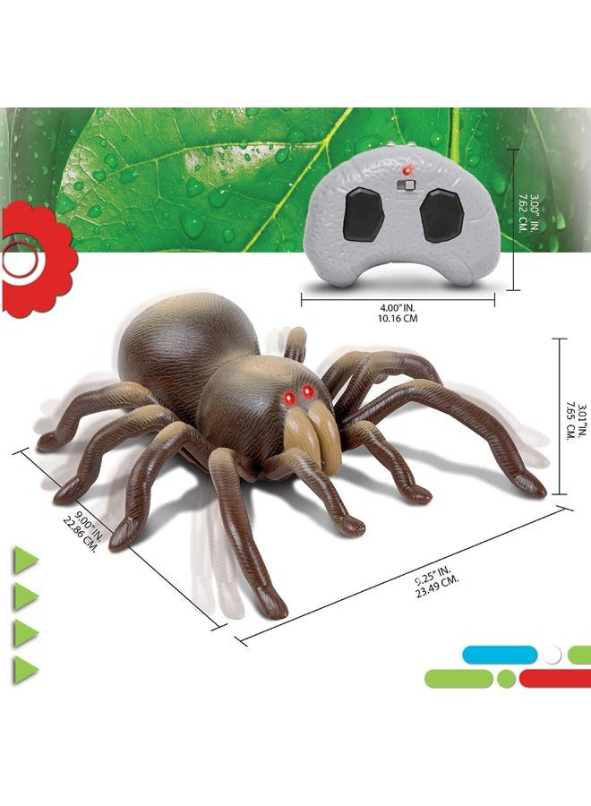 DISCOVERY KIDS RC Moving Tarantula Spider, Wireless Remote Control Toy for Kids, Great for Pranks and Halloween Decorations, Realistic Scurrying Movement, Glowing Scary Red LED Eyes - Image 3