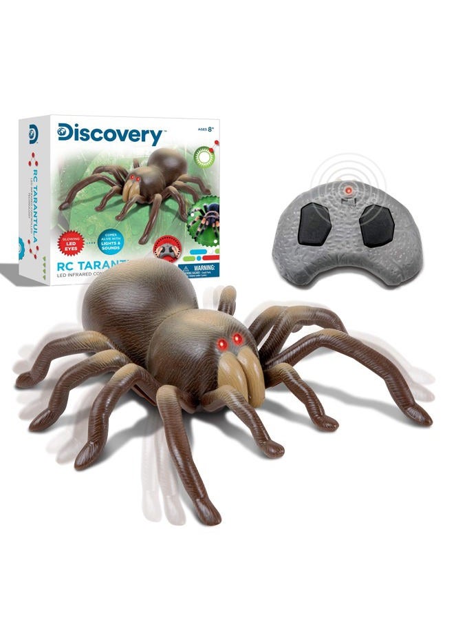 DISCOVERY KIDS RC Moving Tarantula Spider, Wireless Remote Control Toy for Kids, Great for Pranks and Halloween Decorations, Realistic Scurrying Movement, Glowing Scary Red LED Eyes - Image 1