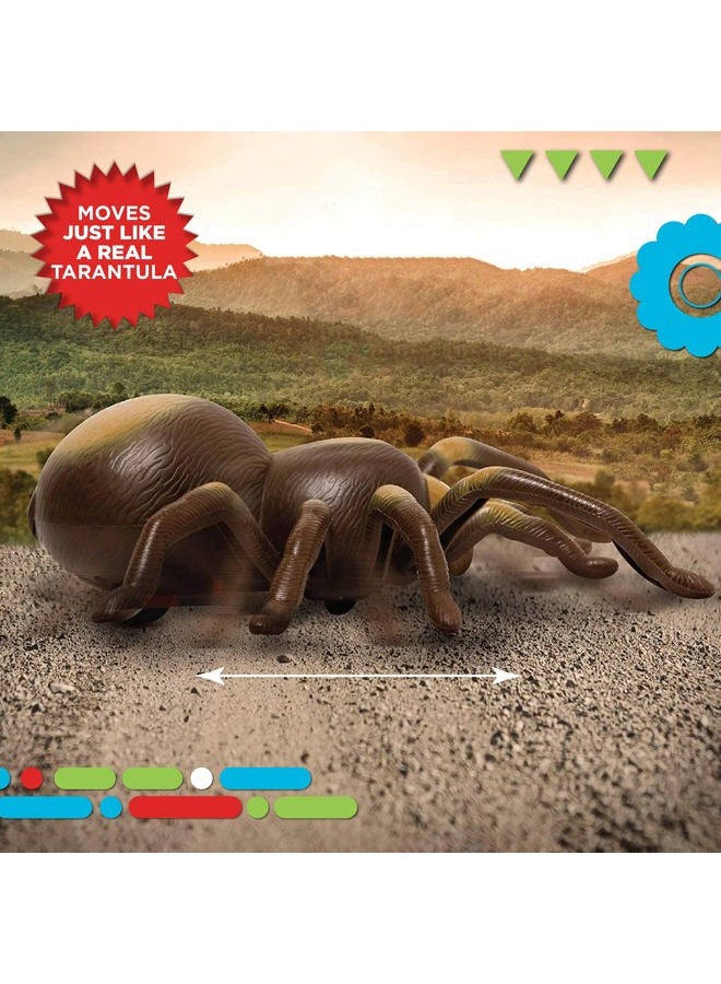 DISCOVERY KIDS RC Moving Tarantula Spider, Wireless Remote Control Toy for Kids, Great for Pranks and Halloween Decorations, Realistic Scurrying Movement, Glowing Scary Red LED Eyes - Image 5
