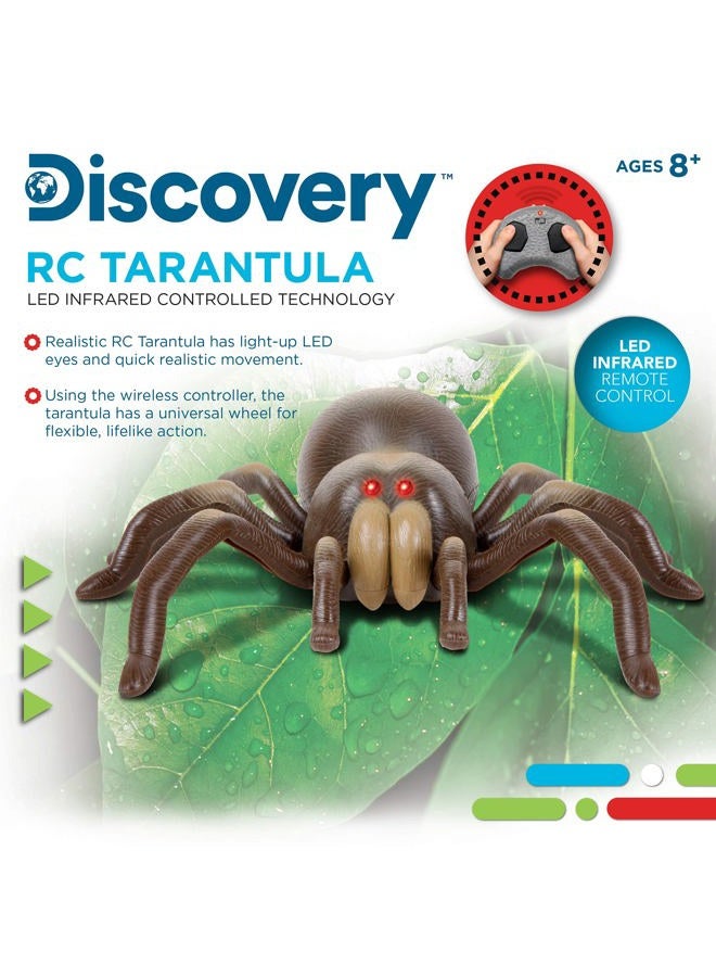 DISCOVERY KIDS RC Moving Tarantula Spider, Wireless Remote Control Toy for Kids, Great for Pranks and Halloween Decorations, Realistic Scurrying Movement, Glowing Scary Red LED Eyes - Image 2
