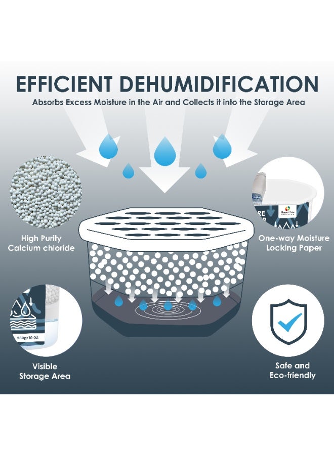 Home Care صندوق امتصاص الرطوبة للعناية المنزلية – 6 عبوات (280 جرام لكل منها) – مزيل الروائح ومنع العفن والفطريات للخزائن والحمامات والسيارات والتخزين - Image 4