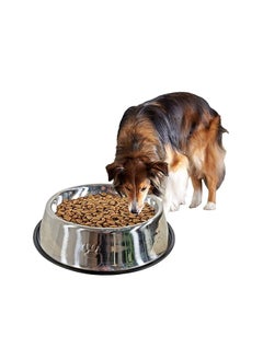 MAJIBAO Large Dog Food Feeder in Stainless Steel Round Bowls, Extra Large Size Bowl, Rubber or Silicon Grip for No Sliding, Strong SS Material  - Image 1