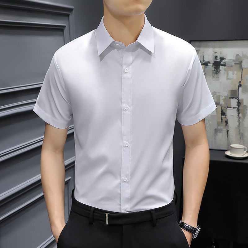 Spring and autumn men's long-sleeved shirt shirt gray business casual anti-wrinkle inner wear workwear work clothes men's clothing - Image 2