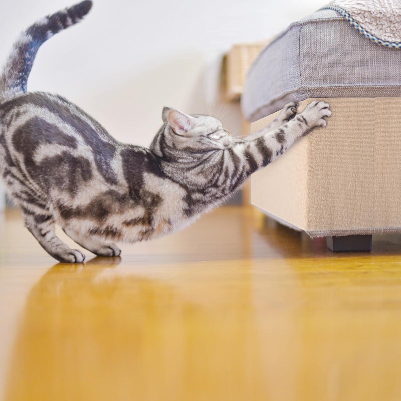 THAMIAO Cat Carpet remnants Cat Scratching Mat Trimmable Self-Adhesive Carpet DIY Climbing Scratcher Scratch Furniture Protector Covering Posts (39.3" x 15.8" Beige) - Image 5