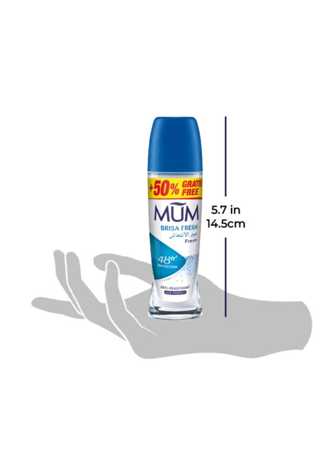 MUM Deodorant Roll-on - Brisa Fresh, 48-Hrs Protection, Quick Drying Formula For All Skin Type, Pack of 6, 75ml Each - Image 3