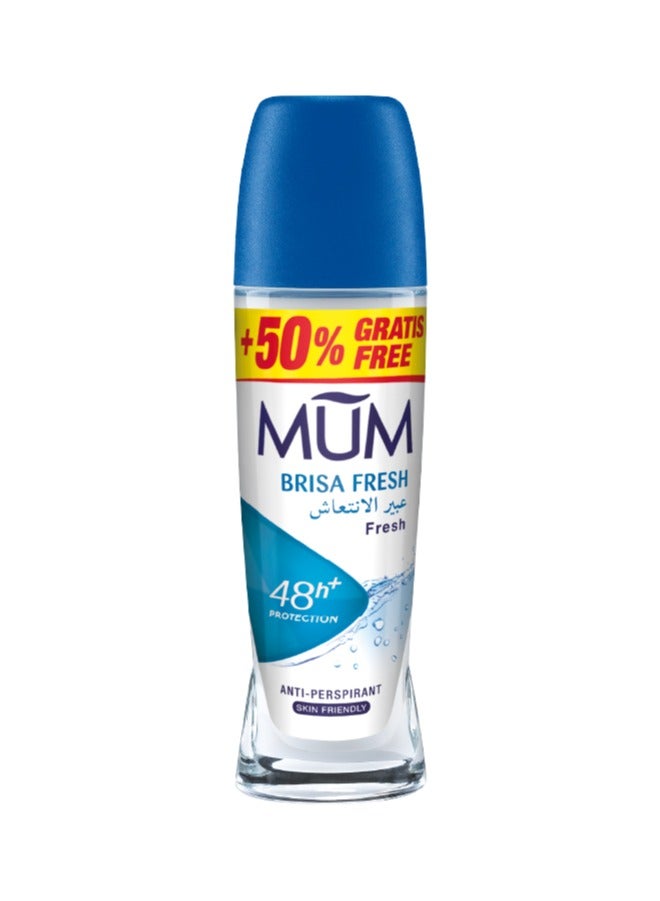 MUM Deodorant Roll-on - Brisa Fresh, 48-Hrs Protection, Quick Drying Formula For All Skin Type, Pack of 6, 75ml Each - Image 2