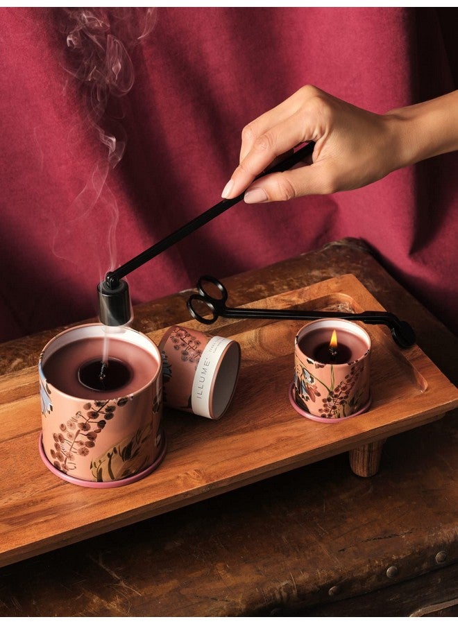 ILLUME Beautifully Done Essentials Terra Tabac Vanity Tin Scented Candle, 3" L x 2" W x 1" H - Image 2