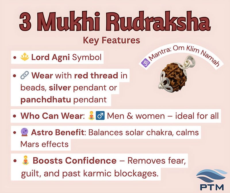 PTM 3 Mukhi Rudraksha Pendant | Teen Mukhi/Three Face Original Nepali Bead 925 BIS Hallmark Sterling Silver Cap Pendant | Certified Natural Rudraksha for Men and Women - Image 3