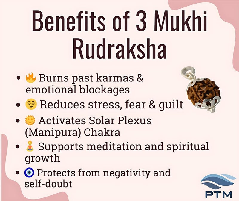 PTM 3 Mukhi Rudraksha Pendant | Teen Mukhi/Three Face Original Nepali Bead 925 BIS Hallmark Sterling Silver Cap Pendant | Certified Natural Rudraksha for Men and Women - Image 4