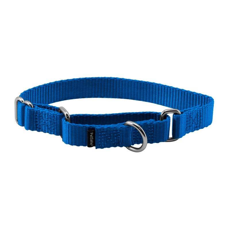 PetSafe Adjustable Martingale Collar - Only Tightens When Dogs Pull, Prevents Slipping Out - Helps with Strong Pullers, Increased Control - Alternative to Choke Collar - 3/4", Small, Royal Blue - Image 1