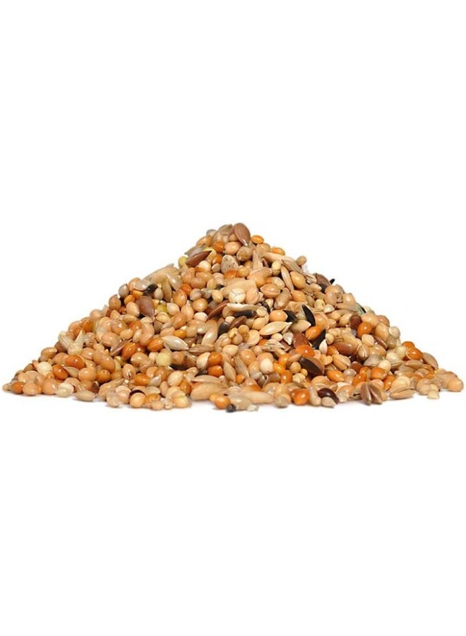 Rio Daily Food For Budgies 500G Yellow - Image 3