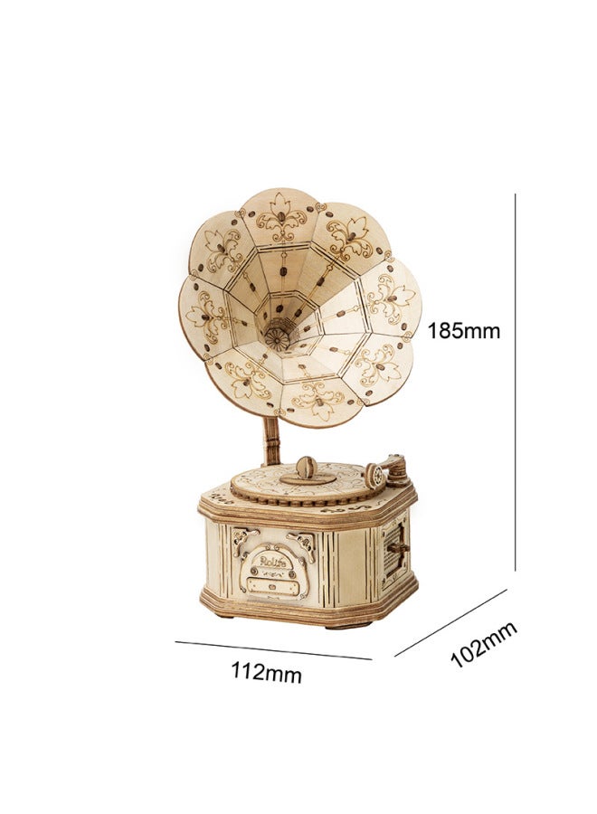 Ruoyi Polar Tone Dimension Electric Guitar Violin Boat Ferris Wheel Puzzle Wooden Diy Children's Educational Toys Gifts-Color:Man-Tune-Phonograph-TG408 - Image 1