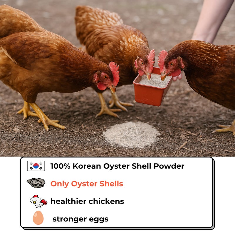KorGourmetta | Oyster Shell Flour 1lb - Finely Ground Calcium Material for Chickens, Ducks, Birds, Reptiles, Amphibians, and More - Crushed Oyster Shell Alternative | 굴껍질가루 - Image 3