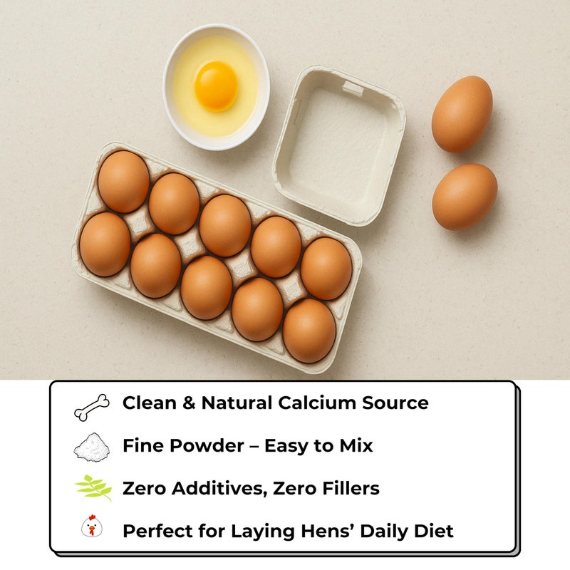 KorGourmetta | Oyster Shell Flour 1lb - Finely Ground Calcium Material for Chickens, Ducks, Birds, Reptiles, Amphibians, and More - Crushed Oyster Shell Alternative | 굴껍질가루 - Image 4