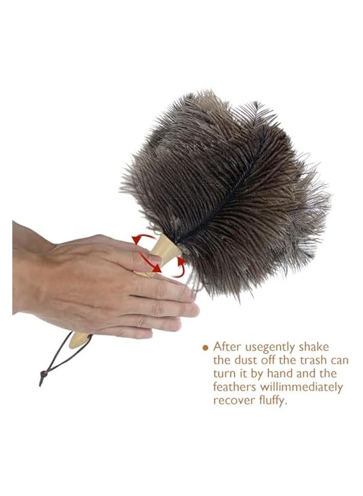 إيروريكس منفضة وبر النعام، منفضة ريش النعام، فرشاة تنظيف من ريش النعام الطبيعي الناعم، أدوات تنظيف منفضة غبار للمنزل والمكتب - Image 3