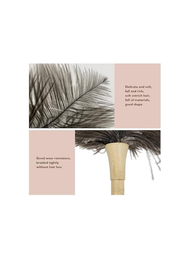 إيروريكس منفضة وبر النعام، منفضة ريش النعام، فرشاة تنظيف من ريش النعام الطبيعي الناعم، أدوات تنظيف منفضة غبار للمنزل والمكتب - Image 4