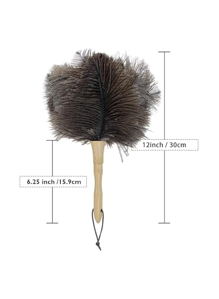 إيروريكس منفضة وبر النعام، منفضة ريش النعام، فرشاة تنظيف من ريش النعام الطبيعي الناعم، أدوات تنظيف منفضة غبار للمنزل والمكتب - Image 2