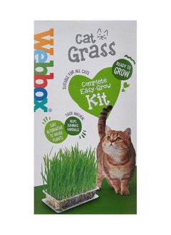 Webbox Cat Grass Complete Easy Grow Kit 120G  - Image 1