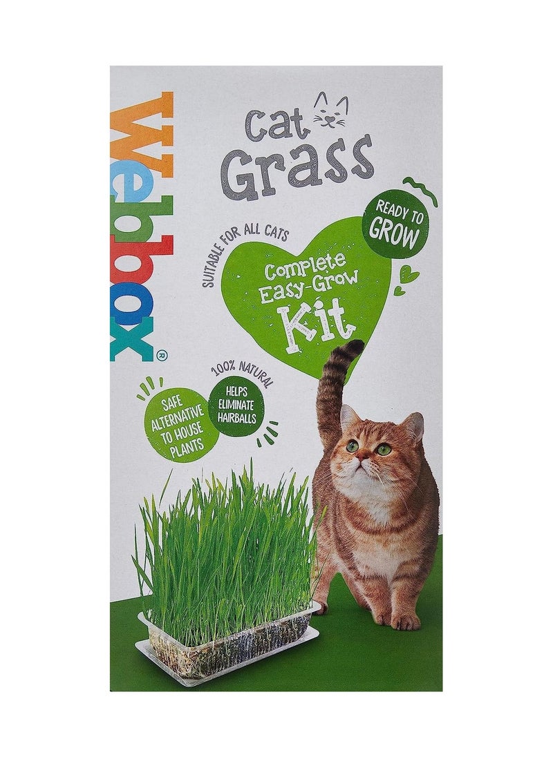 Webbox Cat Grass Complete Easy Grow Kit 120G  - Image 1