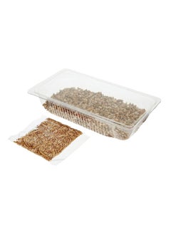 Webbox Cat Grass Complete Easy Grow Kit 120G  - Image 3
