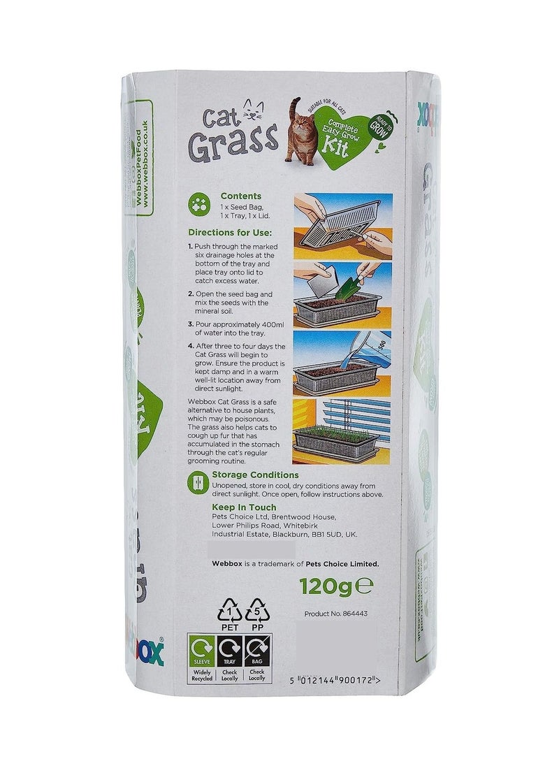 Webbox Cat Grass Complete Easy Grow Kit 120G  - Image 2