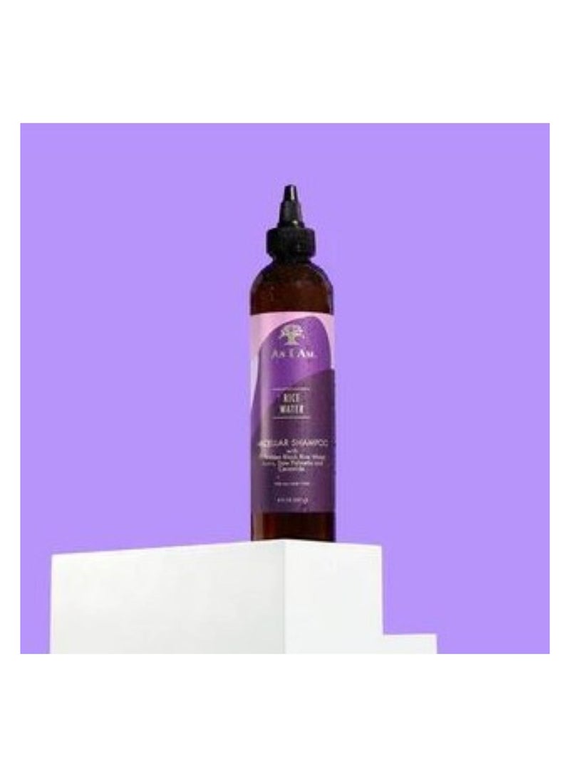 آز أي آم شامبو ماء الأرز 8 أونصة - مع الأرز الأسود المحرم، بالميتو المنشار، البيوتين - منظف لطيف - مرطب - نباتي وخالي من القسوة - خالي من الكبريتات - خالي من البارابين - لجميع أنواع الشعر - Image 3