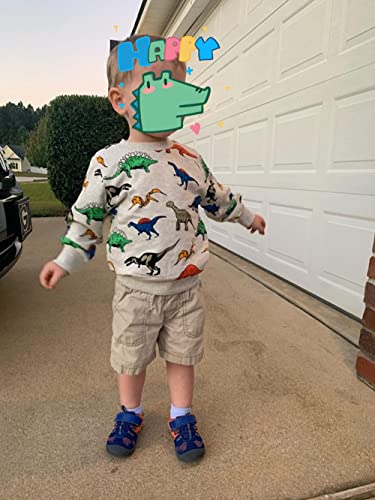 Popshion Boys Dinosaur Sweatshirt Cotton Crewneck Dinosaur Clothes for Boys Winter Warm Pullover Grey Sweater 4T - Image 3