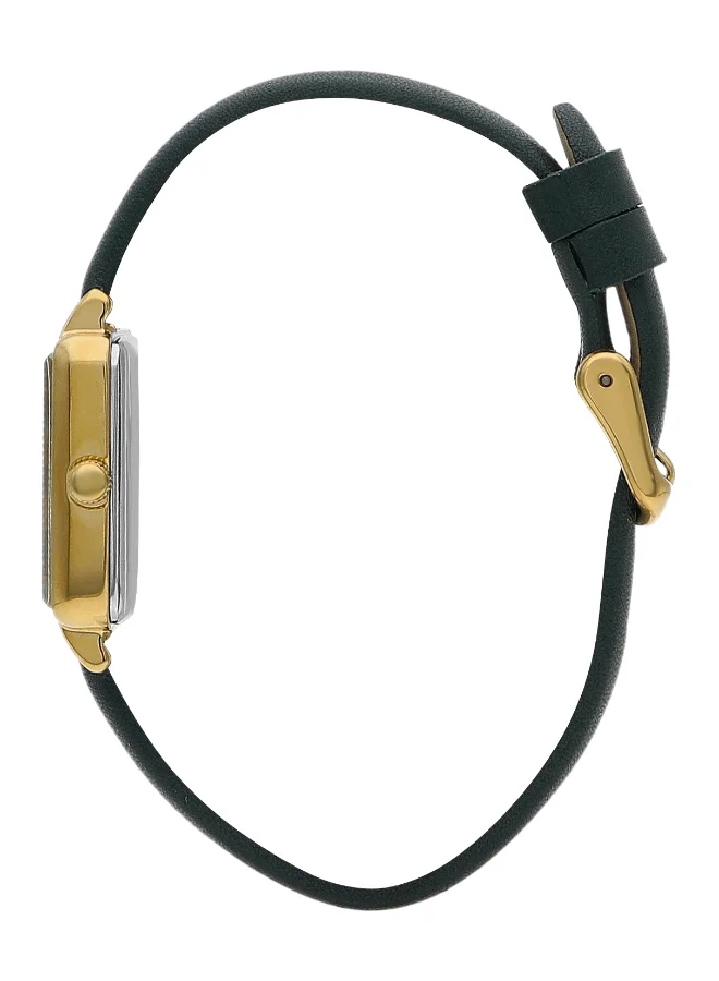 Slazenger Slazenger Women 's Green Dial Analog watch - SL.9.2256.3.03