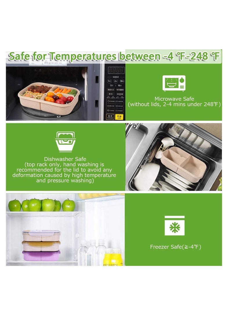 KASTWAVE Bento Box for Adults Lunch Containers for Kids 3 Compartment Lunch Box Food Containers Leak Proof Microwave Safe - Image 4