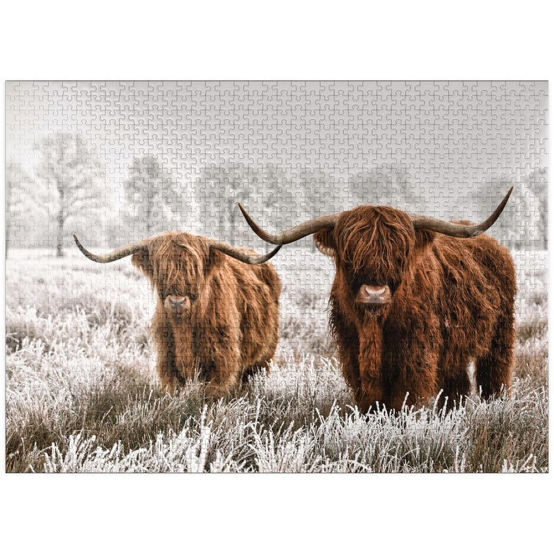 MyPuzzle Hairy Scottish Highland Cattle in A Winter Landscape Premium 1000 Piece Jigsaw Puzzle for Adults
