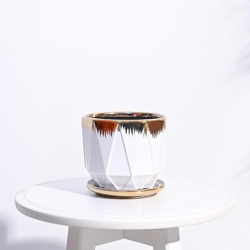 UGAOO Prism Ceramic Pot |Indoor Ceramic Planter for Home, Office, Garden, Balcony - White (5 Inch) - Image 2