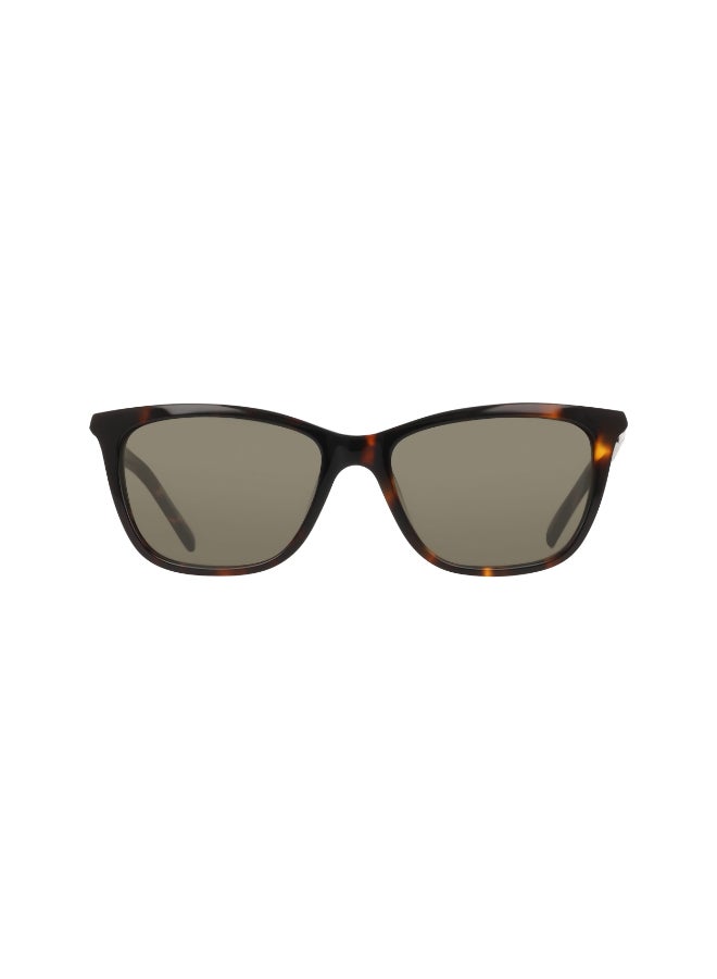 DKNY FULL RIM ACETATE DKNY SUN DK558S 5316 (237) DARK TORTOISE - Image 1