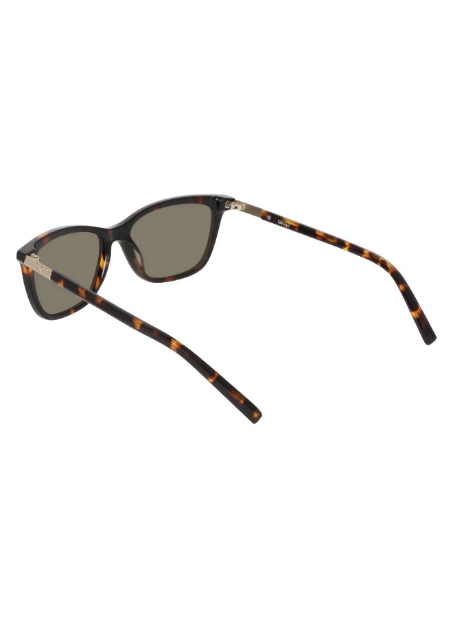 DKNY FULL RIM ACETATE DKNY SUN DK558S 5316 (237) DARK TORTOISE - Image 5