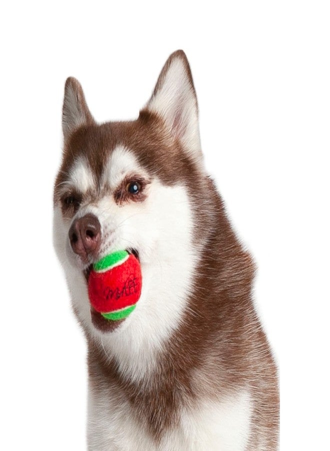 Midlee 1.5" Mini Squeaker Christmas Dog Tennis Balls - Red/Green Pack of 12 - Image 3