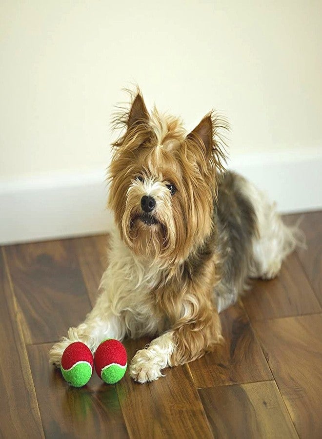 Midlee 1.5" Mini Squeaker Christmas Dog Tennis Balls - Red/Green Pack of 12 - Image 5