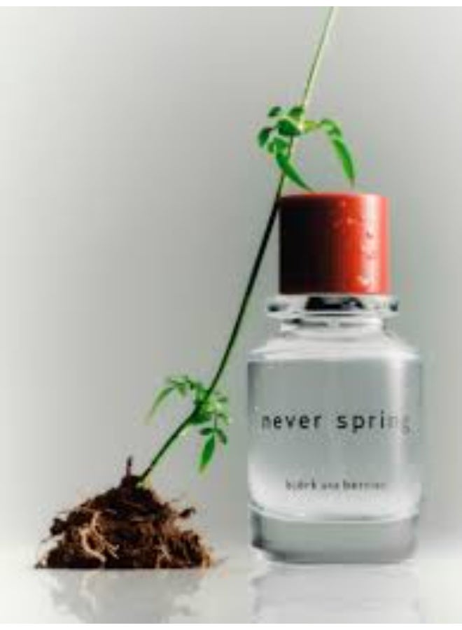 BJORK & BERRIES Björk and Berries Never Spring Eau de Parfum 50ml - Image 2