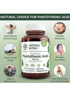 Natural Nutra Time Release Pantothenic Acid 500 mg, Vitamin B5 Supplement, Helps Break Down Fat and Carbohydrates, Metabolism and Energy, 60 Vegetarian Tablets (3 Pack)  - Image 2