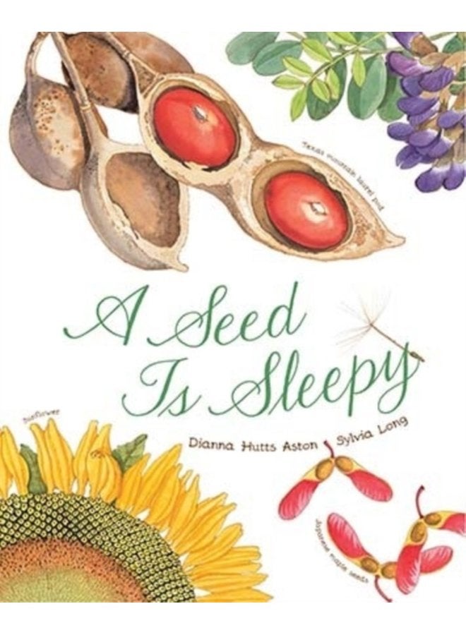A Seed Is Sleepy - Paperback