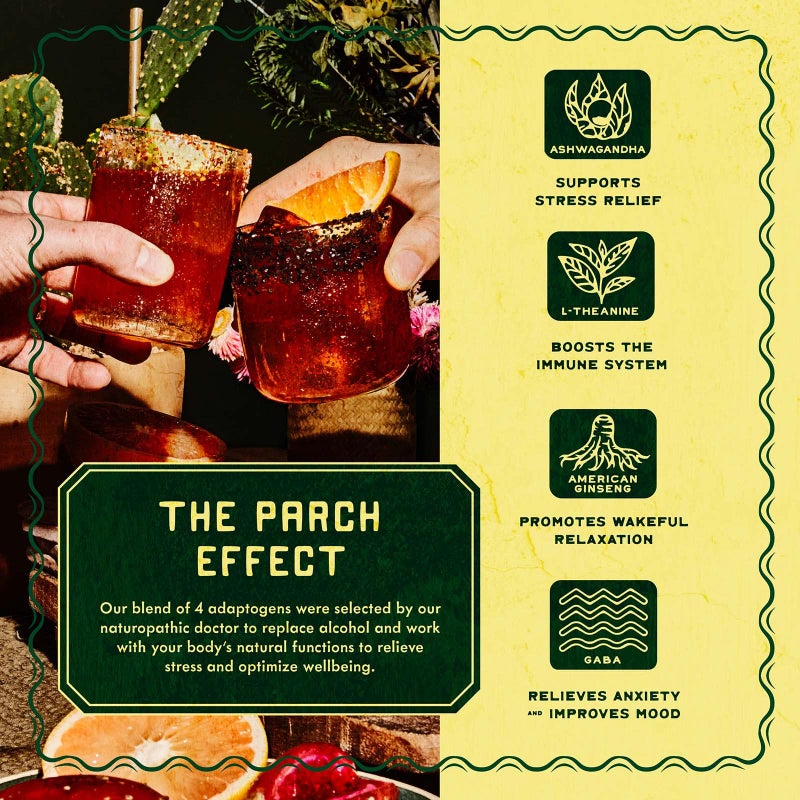 PARCH Spiced Piñarita Ready to Drink Non Alcoholic Agave Cocktail Infused with Desert Botanicals & Adaptogens, Plant Based, Gluten Free & Vegan, Inspired by the Sonoran Desert (8.4 oz x 8 Pack) - Image 3