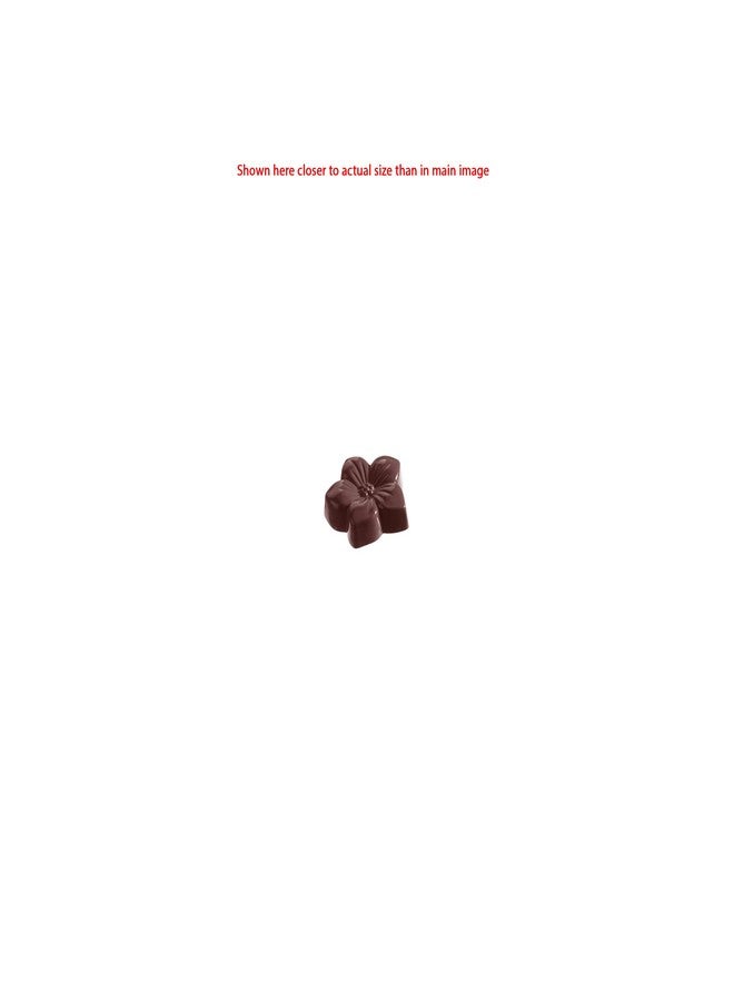 Chocolate World 1060 Clear Polycarbonate Chocolate Mold with 18 Violet Cavities 38mm x 40mm x 12mm High - Image 2