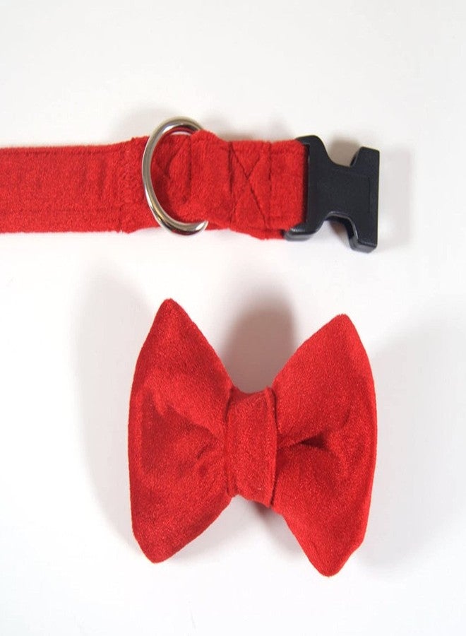 RR Design Dog Bow Tie/Dog Bow-tie/Dog Gift Velvet with Collar (Adjustable) (red, Medium) - Image 2