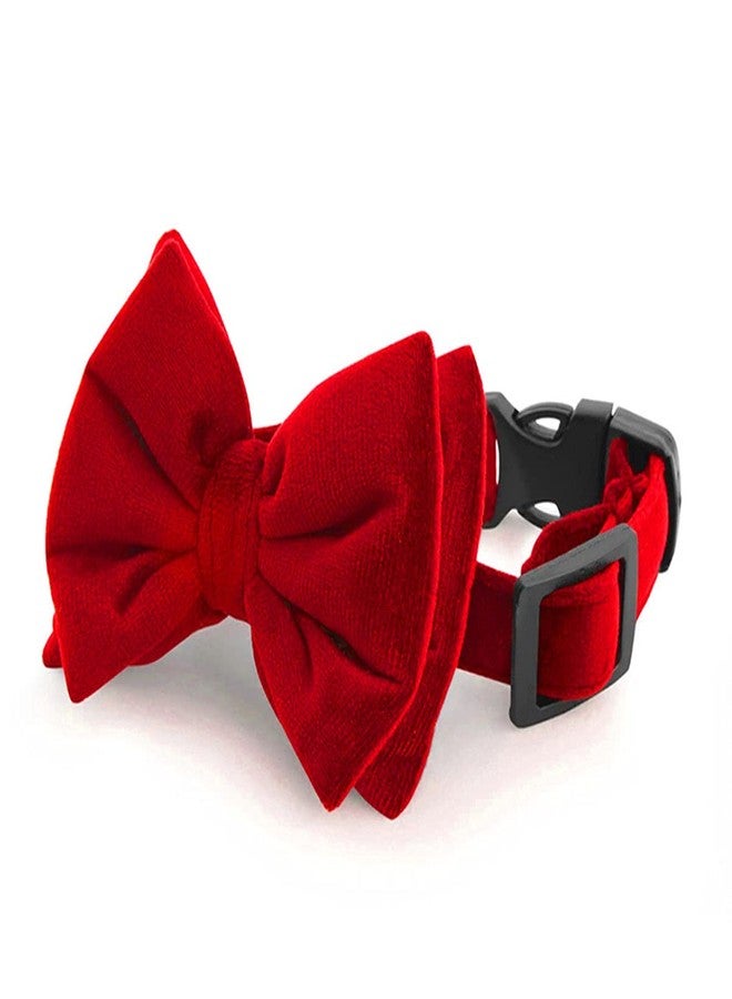 RR Design Dog Bow Tie/Dog Bow-tie/Dog Gift Velvet with Collar (Adjustable) (red, Medium) - Image 1