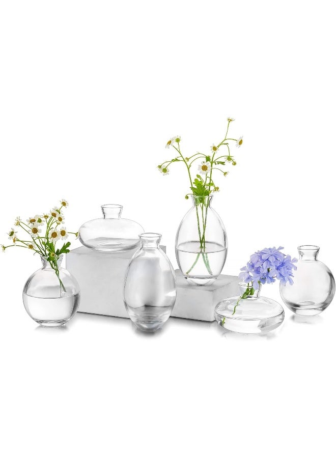 Glasseam Glasseam Glass Bud Vase for Centerpieces, 6Pcs/2Sets Modern Clear Mini Small Vases for Flowers Bulk Flower Vase Set Aesthetic Cute Handmade Tiny Short Wedding Table Centerpiece Decor - Image 1