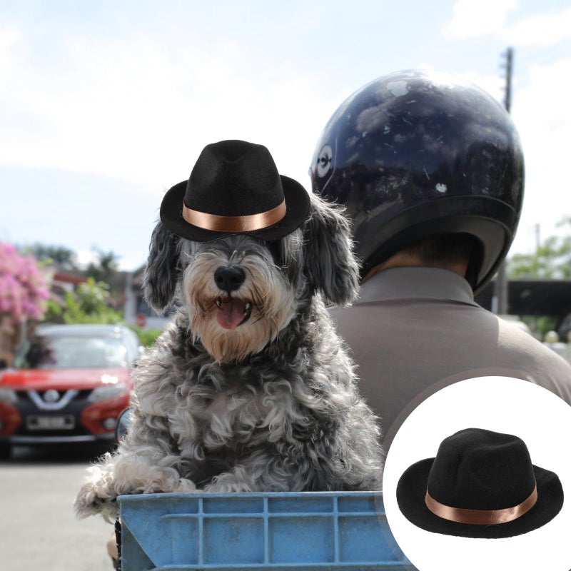 Wear Resistant Mini Denim Dog Hat Black Puppy Accessory - Image 4