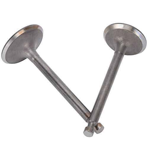 BORDSTRACT Engine Intake Exhaust Valves Kit Motor Replacement Part Accessory for Gasoline Engine Generator 190FGX420 - Image 1